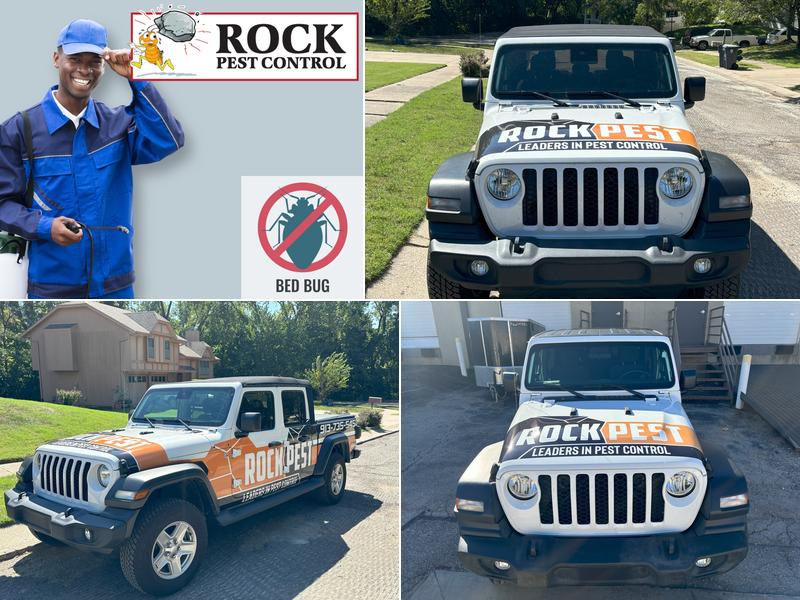 Rock Pest Control