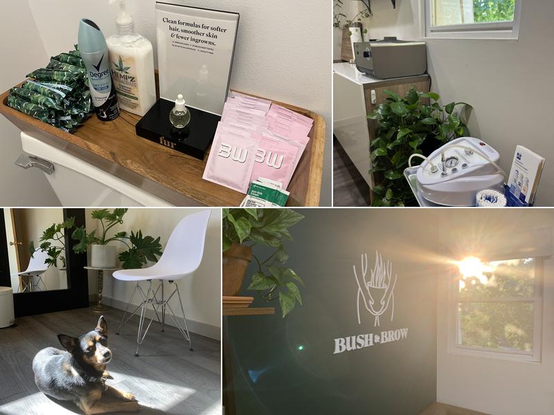 Bush and Brow Wax Studio