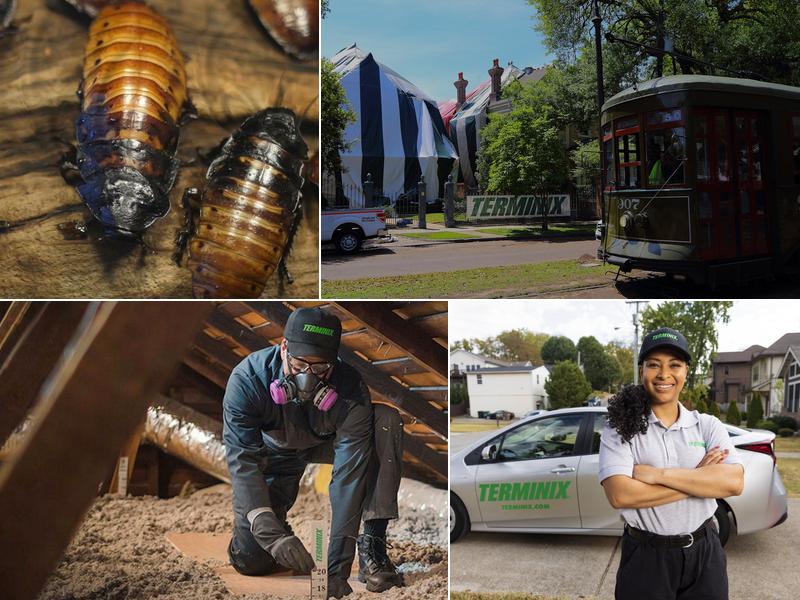 Terminix