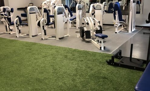 Evolution Fitness & Results