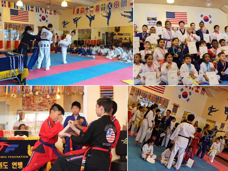 Team US Taekwondo Martial Arts
