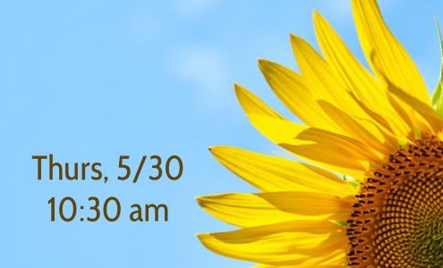 On The Spot Massage and Wellness 927 4th Ave, Conway South Carolina 29526