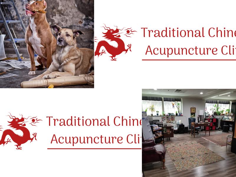 Traditional Chinese Acupuncture Clinic, LLC