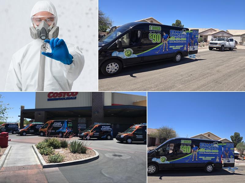 Tucson Mold Removal Pros