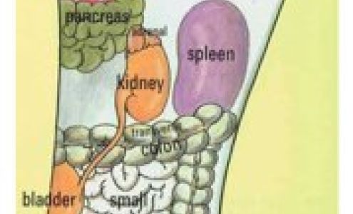 Claud 9 Massage & Body Treatments