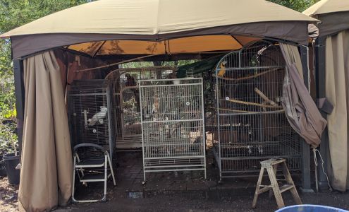 A Tropical Concept Plant Nursery