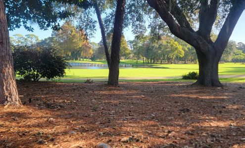 Salamander Spa 36750 US Hwy 19 N, Palm Harbor Florida 34684