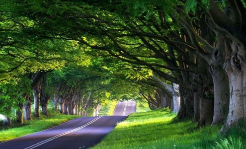 Seriously Sublime Wellness