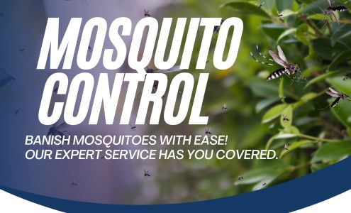 All Star Pest Control Services, Inc. 4606 S Clyde Morris Blvd Ste 2E, Port Orange Florida 32129