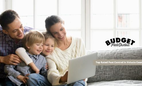 Budget Pest Control 3742 S Nova Rd, Port Orange Florida 32129