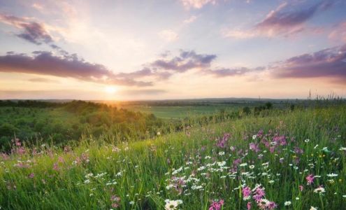 LifeStream Family Medicine