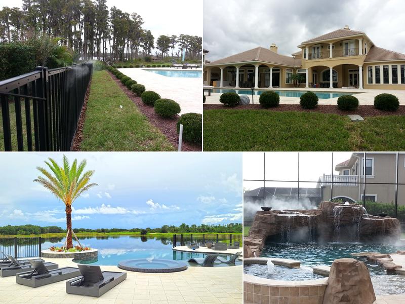 Mist and More of Central Florida