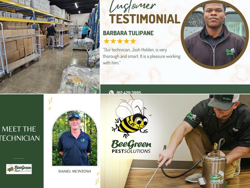 Bee Green Pest Solutions-Pest Control