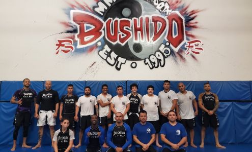 Bushido MMA and BJJ Academy