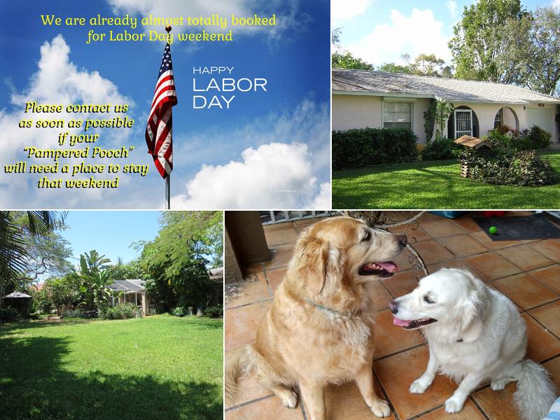 Pampered Pooch Dog Boarding & Daycare