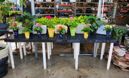 Hindley Nursery & Stoneyard