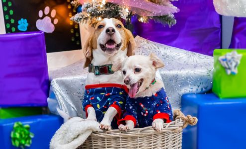 East Coast Animal Hospital 10 Florida Park Dr N Unit C, Palm Coast Florida 32137