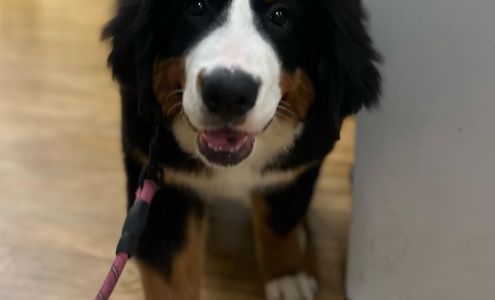 Pet Medical Center LLC