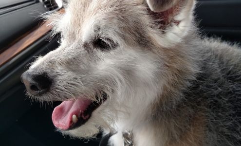 In the Doghouse 5441 Jones Creek Rd B, Baton Rouge Louisiana 70817