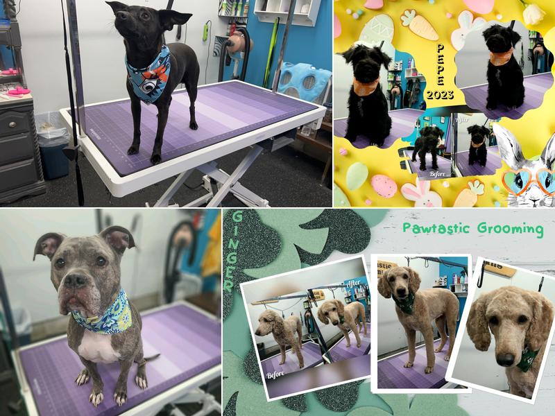 Pawtastic Grooming LLC