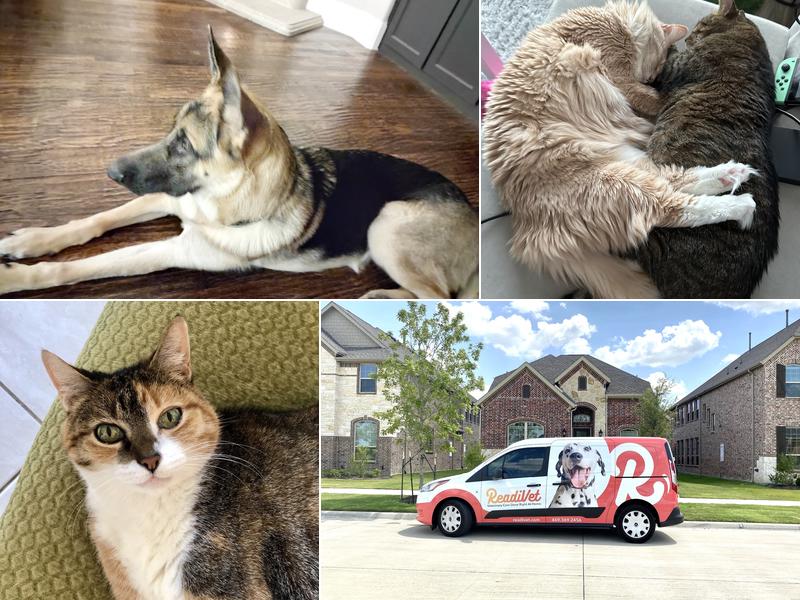 ReadiVet Collin County, Mobile Vet Services