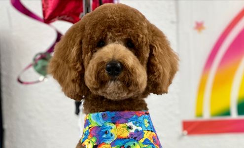 Clip "N" Dip Dog Grooming 1011 SW C Ave, Lawton Oklahoma 73501