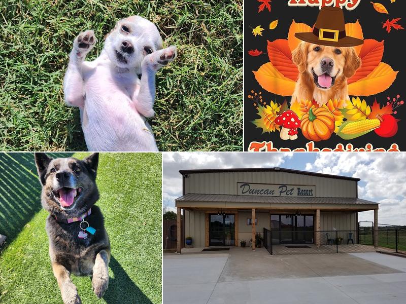 Duncan Pet Resort