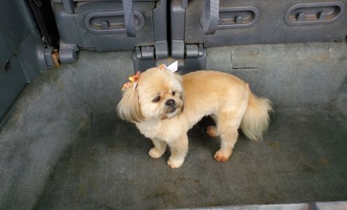 Bountiful Groom Room