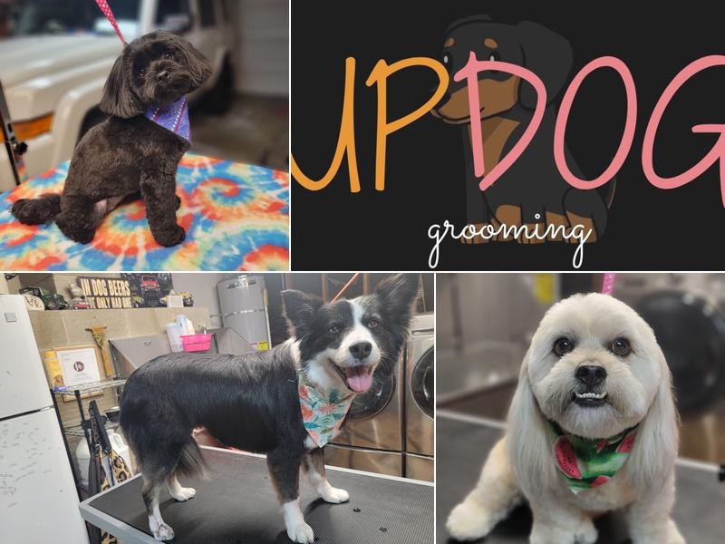 Up Dog Grooming