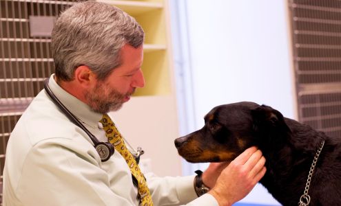 Leesburg Veterinary Internal Medicine