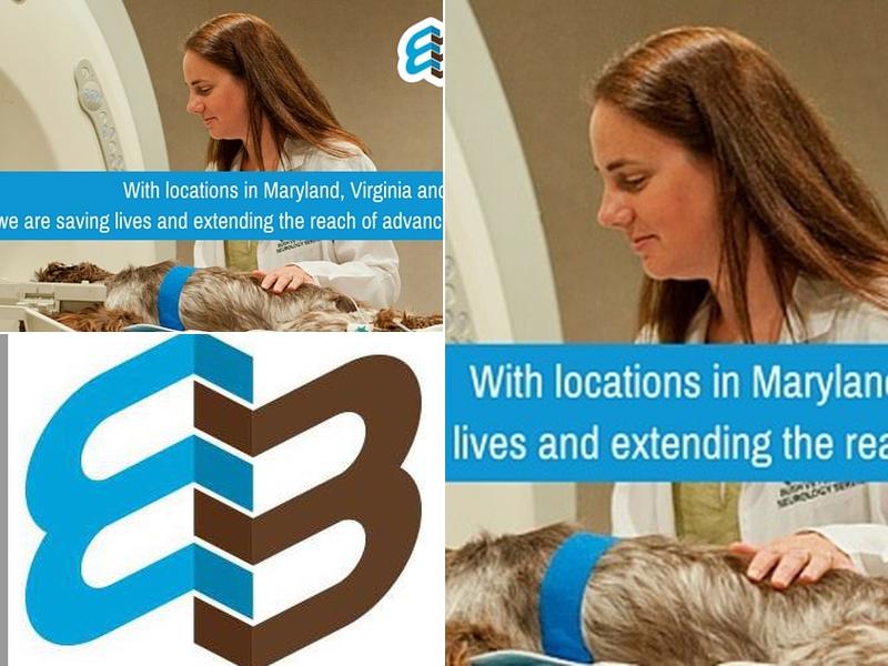 Bush Advanced Veterinary Imaging