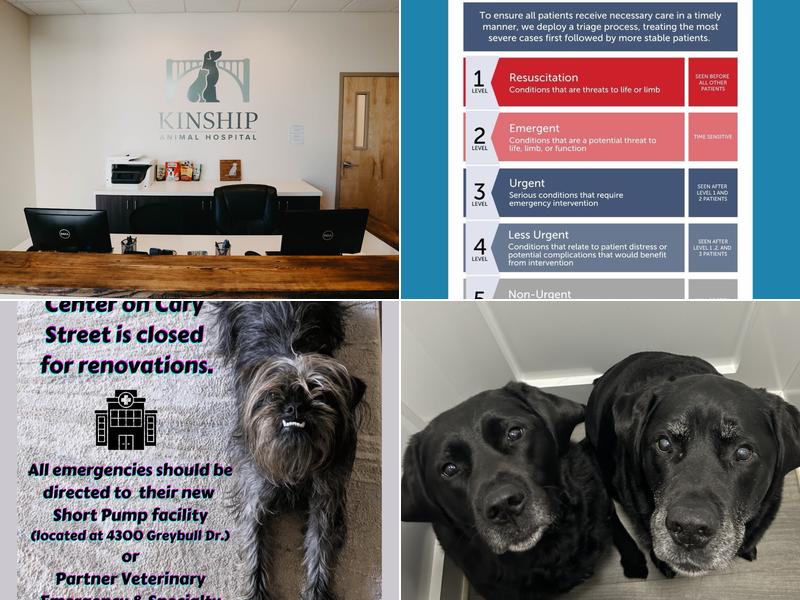 Kinship Animal Hospital