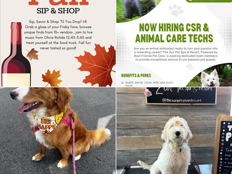 The Zuri Pet Spa & Resort