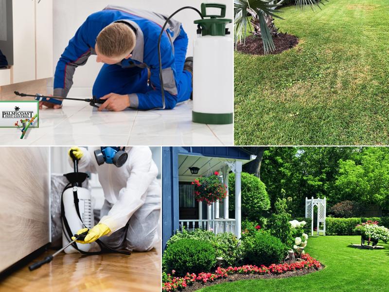 Palm Coast Pest Control