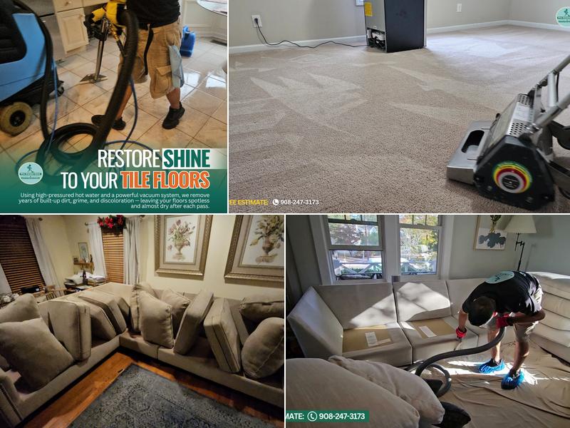 Pro Carpet Care & Cleaning services LLC - New Jersey