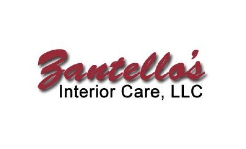 Zantello's Interior Care LLC 307 W Van Buren St, Gobles Michigan 49055
