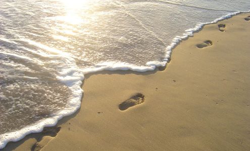 Freedom Center LLC - Foley