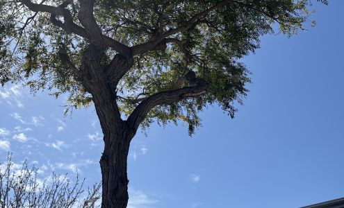 Unio Specialty Care – Gastroenterology – Encinitas