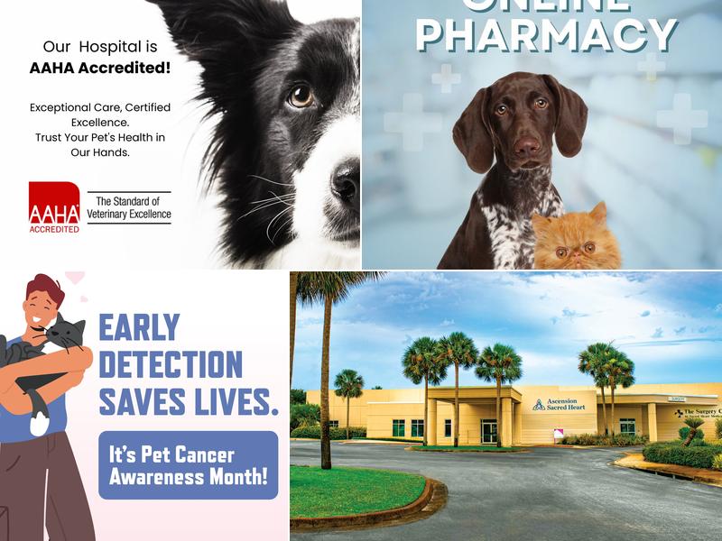 Ascension Sacred Heart Medical Park and Walk-in Clinic - Destin