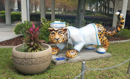 UF Health Community and Family Medicine - Jacksonville