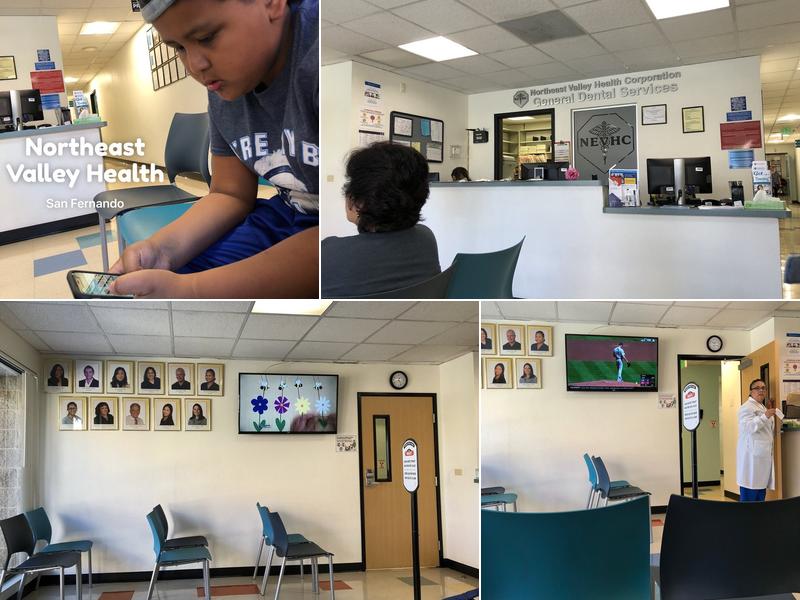 Nevh: Shah Kavita a DDS