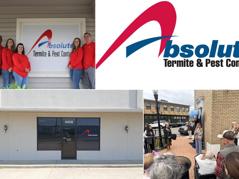 Absolute Termite & Pest Control LLC