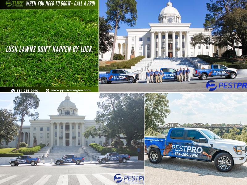 Pest Pro Services, LLC