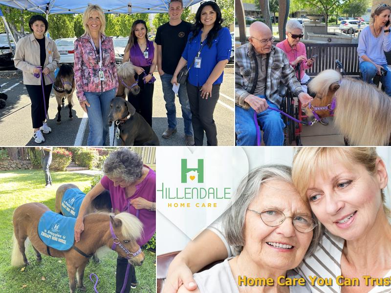 Hillendale Home Care