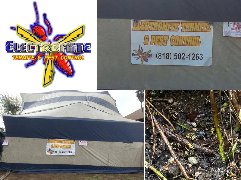Electromite Termite & Pest Control