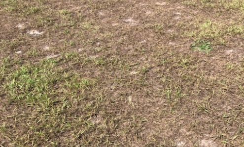 PCS Pest Control, Inc.