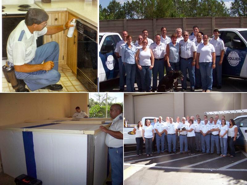 Collier Pest Control