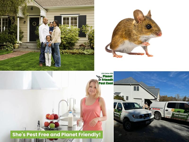 Planet Friendly Pest Control