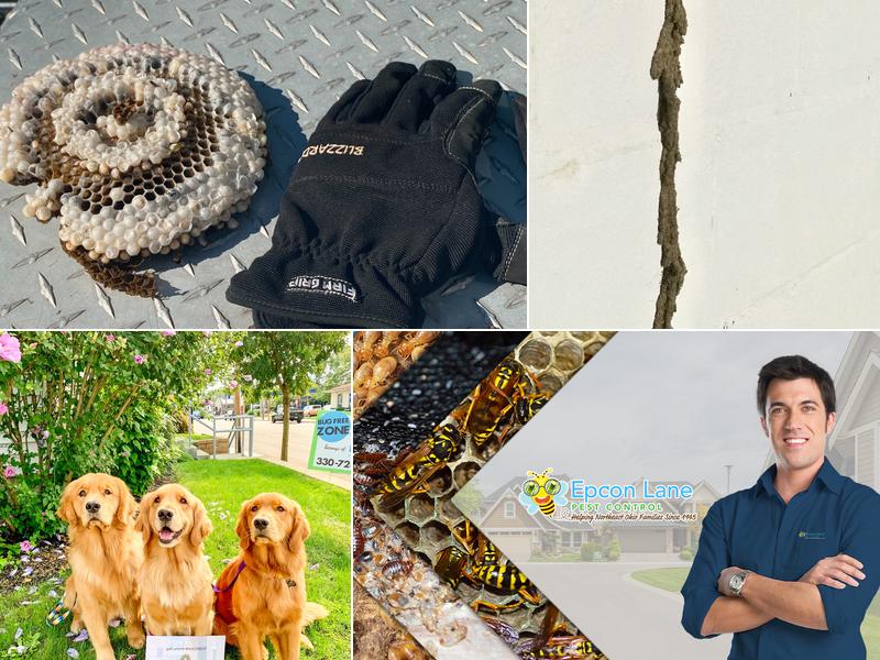 Epcon Lane Pest Control