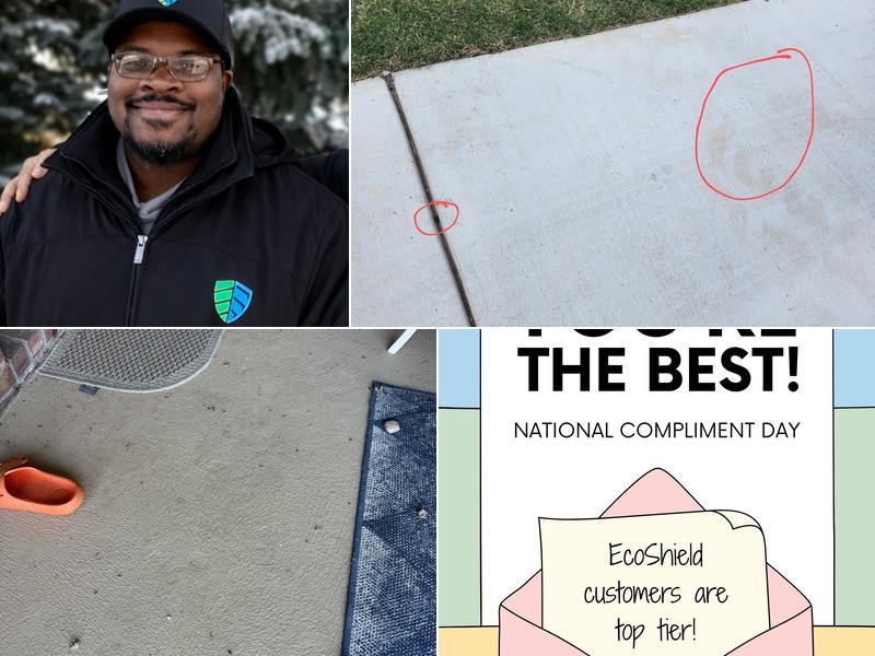 EcoShield Pest Solutions
